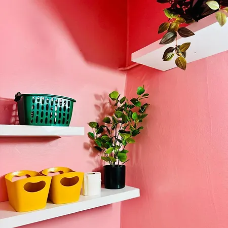 New! Bagaj 70's Hyper Centre